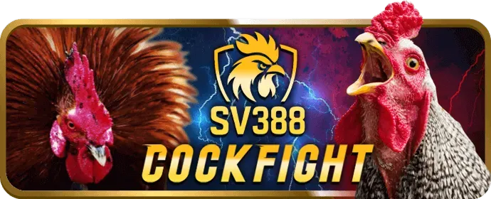 Đội ngũ hỗ trợ khách hàng 24/7 của dola777 win